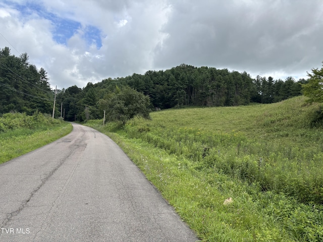 TBD Jenkins Hollow Rd, Mountain City, TN 37683 - photo 3