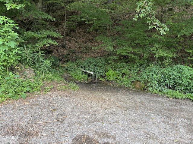 TBD Jenkins Hollow Rd, Mountain City, TN 37683 - photo 4