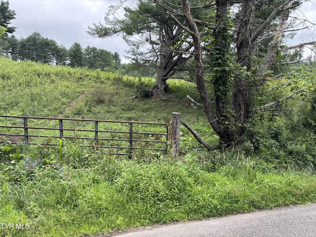 TBD Jenkins Hollow Rd, Mountain City, TN 37683 - photo 5