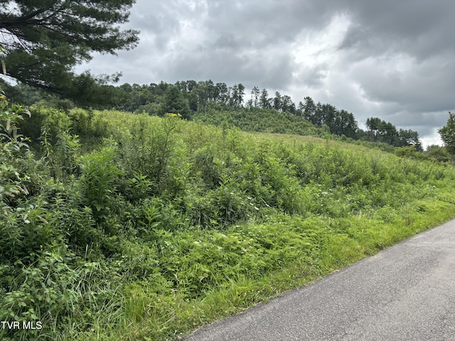 TBD Jenkins Hollow Rd, Mountain City, TN 37683 - photo 6