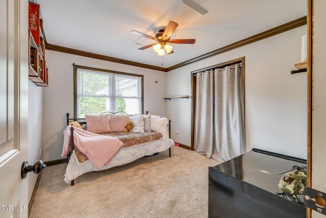 1010 Mill Springs Rd, Jonesborough, TN 37659 - photo 20
