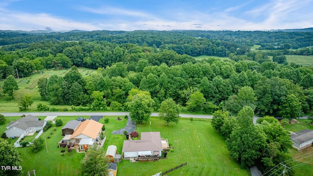 1010 Mill Springs Rd, Jonesborough, TN 37659 - photo 34