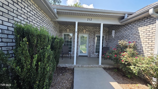 212 Alania Ct, Elizabethton, TN 37643 - photo 6