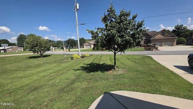 212 Alania Ct, Elizabethton, TN 37643 - photo 7