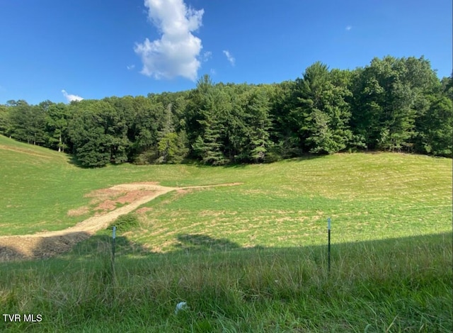 203 Whispering Pines Rd, Johnson City, TN 37601 - photo 1