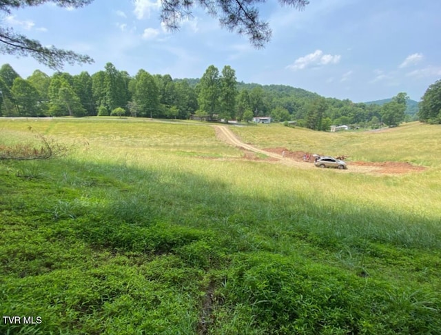 203 Whispering Pines Rd, Johnson City, TN 37601 - photo 2