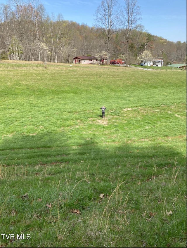 203 Whispering Pines Rd, Johnson City, TN 37601 - photo 8