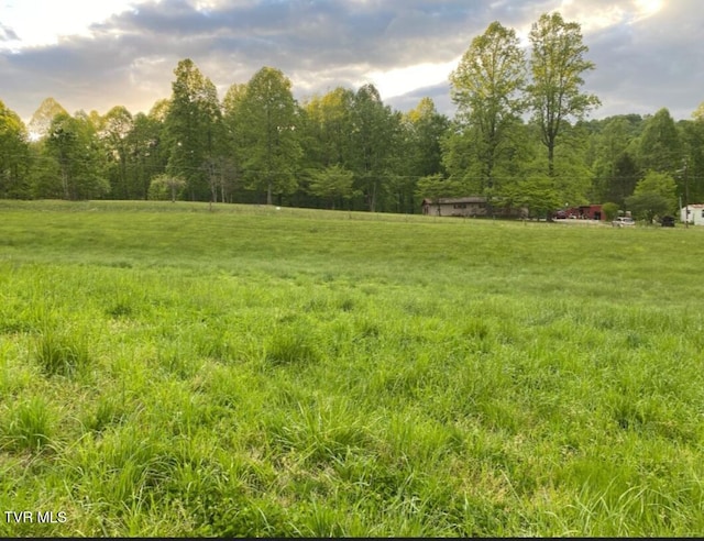 203 Whispering Pines Rd, Johnson City, TN 37601 - photo 9