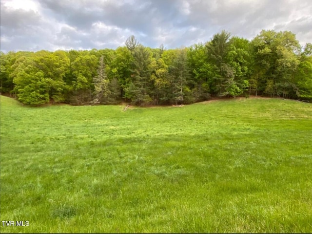 203 Whispering Pines Rd, Johnson City, TN 37601 - photo 10