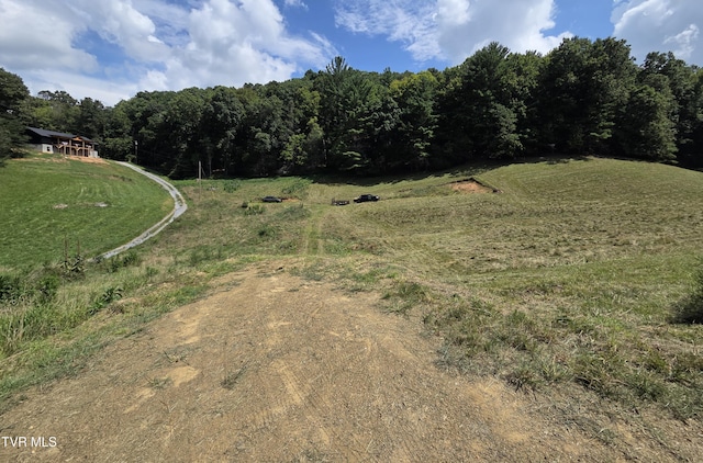 203 Whispering Pines Rd, Johnson City, TN 37601 - photo 14