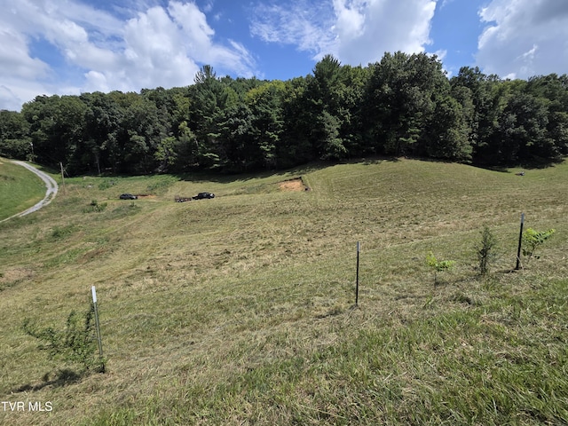 203 Whispering Pines Rd, Johnson City, TN 37601 - photo 16