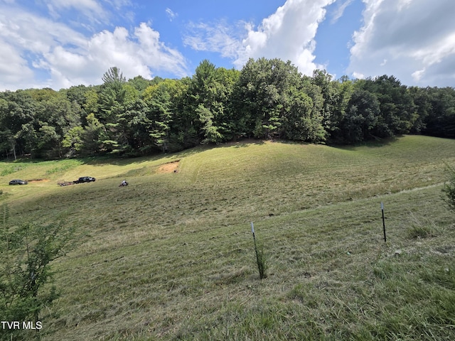 203 Whispering Pines Rd, Johnson City, TN 37601 - photo 17