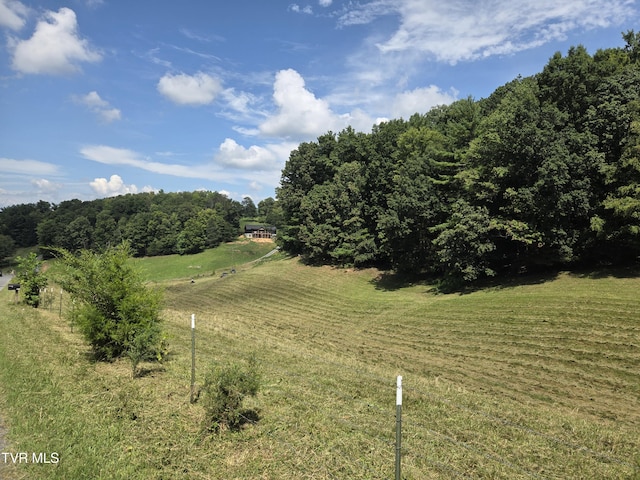 203 Whispering Pines Rd, Johnson City, TN 37601 - photo 19