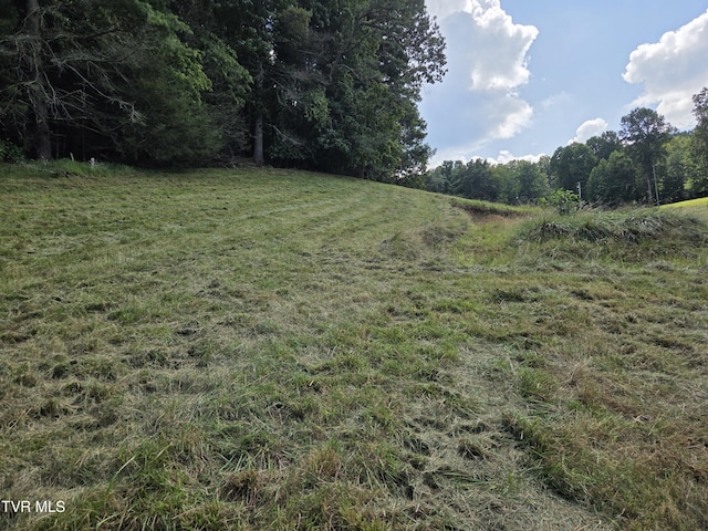 203 Whispering Pines Rd, Johnson City, TN 37601 - photo 20