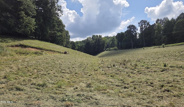 203 Whispering Pines Rd, Johnson City, TN 37601 - photo 23
