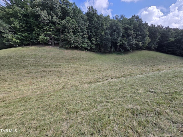 203 Whispering Pines Rd, Johnson City, TN 37601 - photo 25