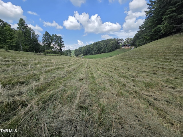 203 Whispering Pines Rd, Johnson City, TN 37601 - photo 27