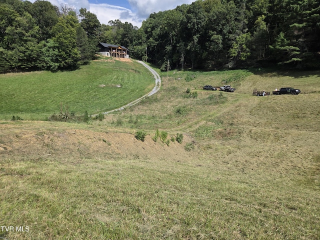 203 Whispering Pines Rd, Johnson City, TN 37601 - photo 30