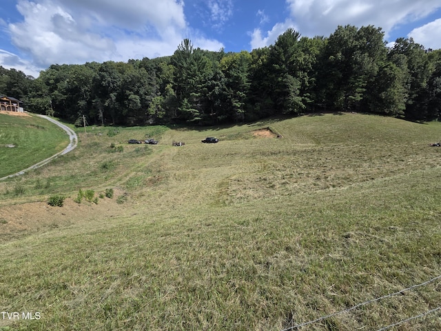 203 Whispering Pines Rd, Johnson City, TN 37601 - photo 31
