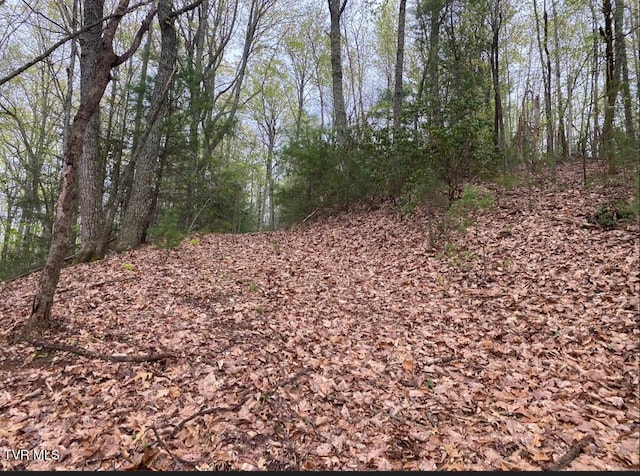 203 Whispering Pines Rd, Johnson City, TN 37601 - photo 32