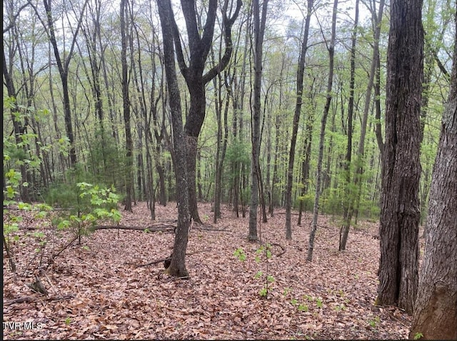 203 Whispering Pines Rd, Johnson City, TN 37601 - photo 33