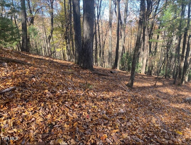 203 Whispering Pines Rd, Johnson City, TN 37601 - photo 34
