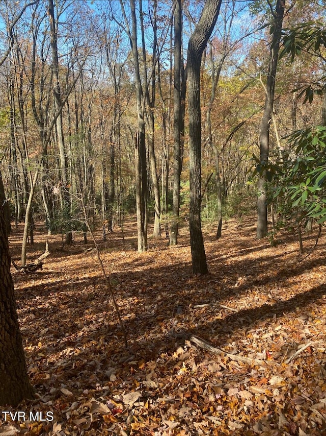 203 Whispering Pines Rd, Johnson City, TN 37601 - photo 35