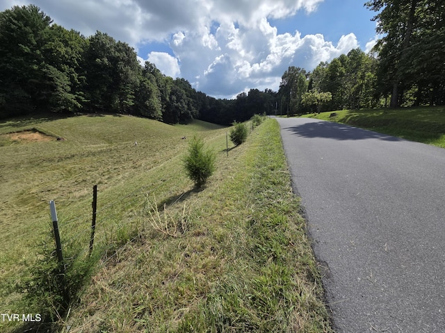 203 Whispering Pines Rd, Johnson City, TN 37601 - photo 37