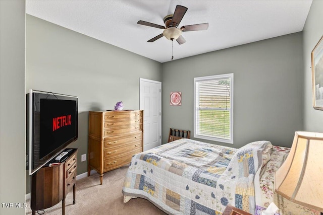 147 Pembrooke Cir, Jonesborough, TN 37659 - photo 25