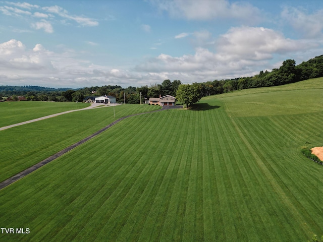 675 A A Deakins Rd, Jonesborough, TN 37659 - photo 76