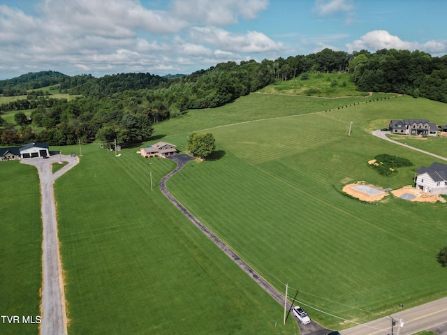 675 A A Deakins Rd, Jonesborough, TN 37659 - photo 79