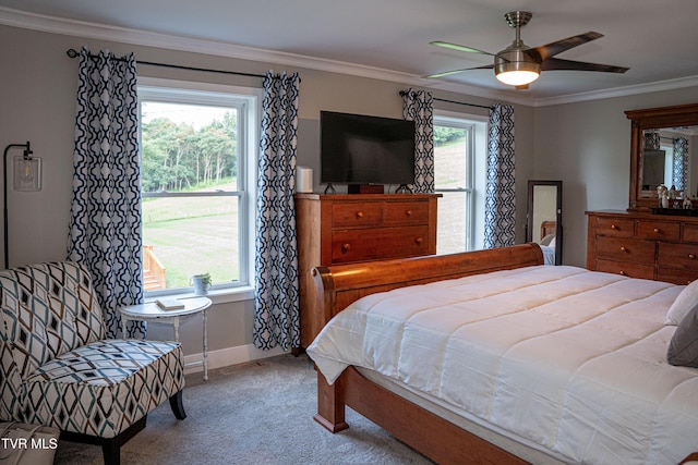 675 A A Deakins Rd, Jonesborough, TN 37659 - photo 39