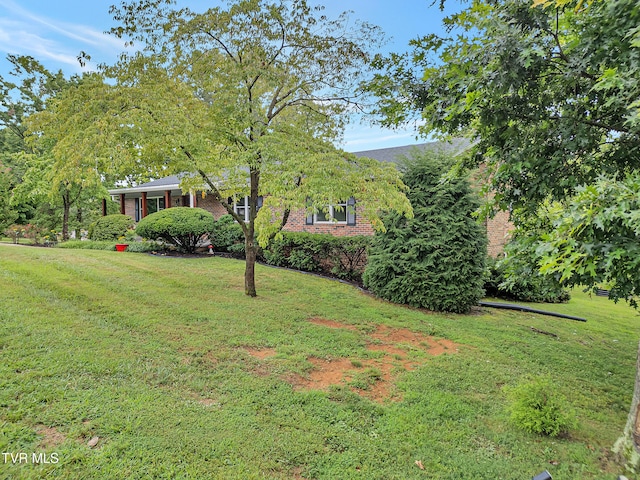 902 Ringdove Ln, Greeneville, TN 37743 - photo 4