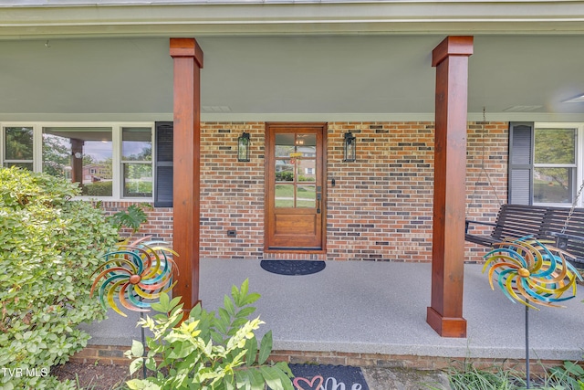 902 Ringdove Ln, Greeneville, TN 37743 - photo 7