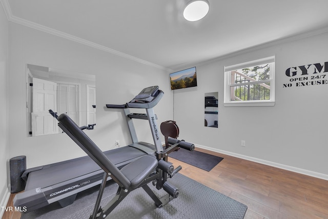902 Ringdove Ln, Greeneville, TN 37743 - photo 40