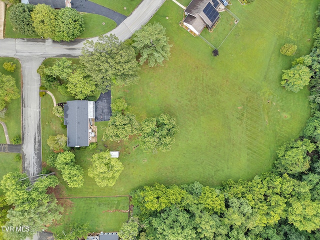 902 Ringdove Ln, Greeneville, TN 37743 - photo 63