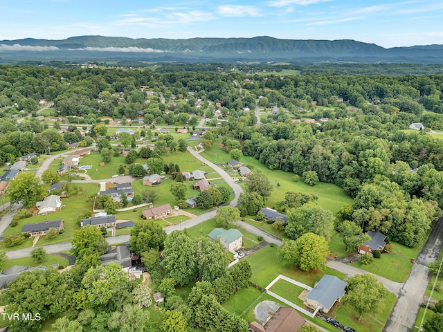 902 Ringdove Ln, Greeneville, TN 37743 - photo 62