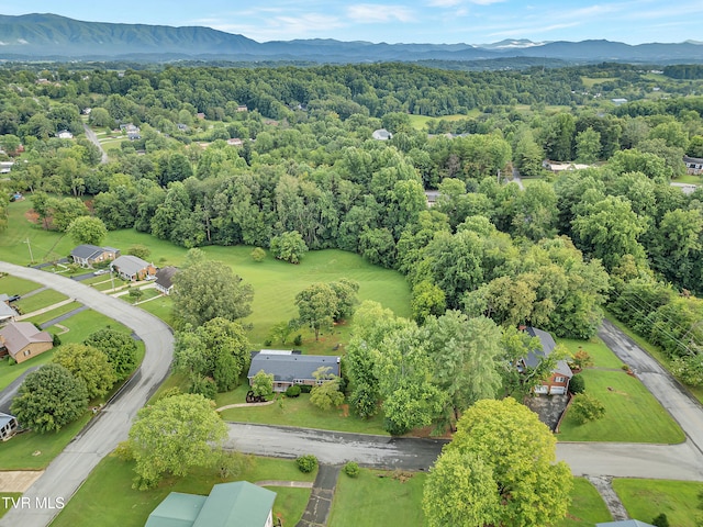 902 Ringdove Ln, Greeneville, TN 37743 - photo 65