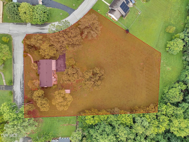902 Ringdove Ln, Greeneville, TN 37743 - photo 64