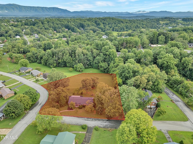 902 Ringdove Ln, Greeneville, TN 37743 - photo 66