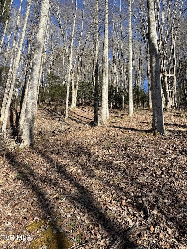 6020 Forge Creek Rd, Mountain City, TN 37683 - photo 1