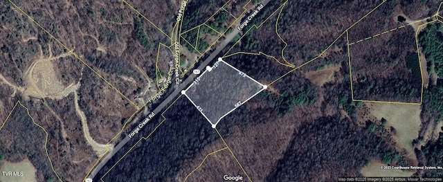 6020 Forge Creek Rd, Mountain City, TN 37683 - photo 10