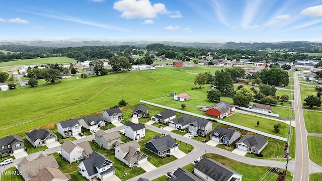 14 Palmetto Ct, Gray, TN 37615 - photo 33