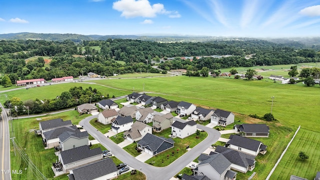 14 Palmetto Ct, Gray, TN 37615 - photo 32