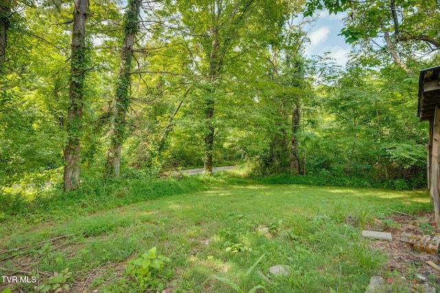 40736 W Morgan Ave, Pennington Gap, VA 24277 - photo 25
