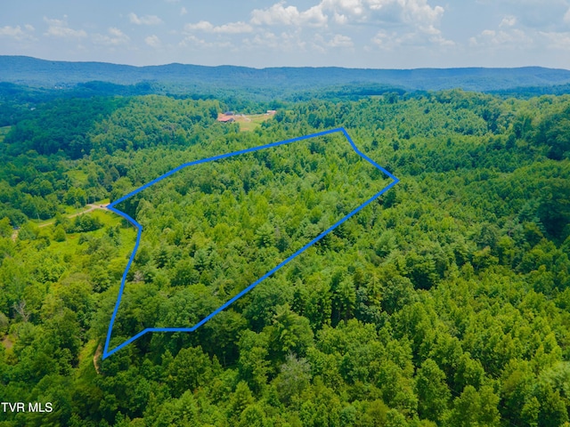 213 Cedar Rdg, Harriman, TN 37748 - photo 2