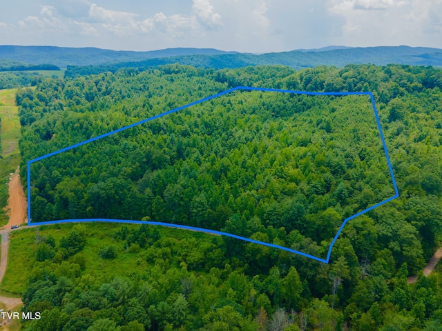 213 Cedar Rdg, Harriman, TN 37748 - photo 4