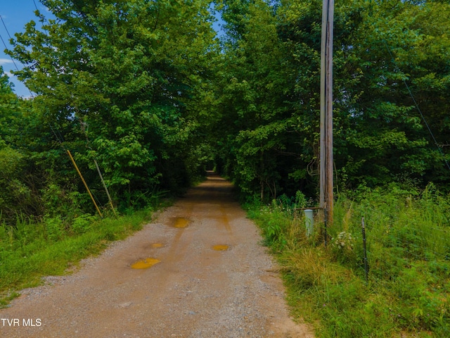 213 Cedar Rdg, Harriman, TN 37748 - photo 5