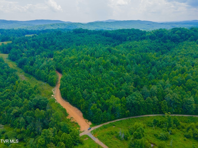 213 Cedar Rdg, Harriman, TN 37748 - photo 8
