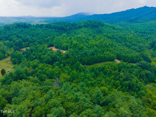 213 Cedar Rdg, Harriman, TN 37748 - photo 10
